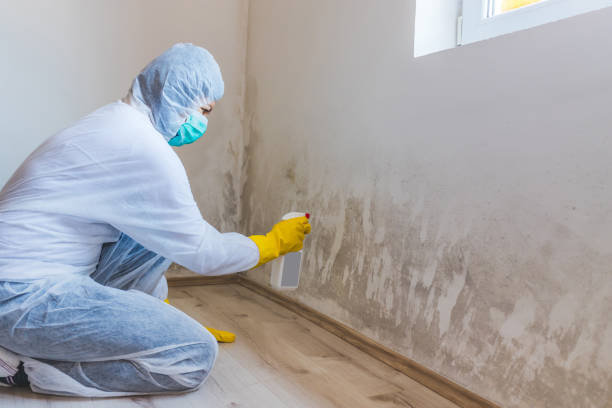 Licensed Mold Inspection service in Midland, MI - WQB Mold Removal