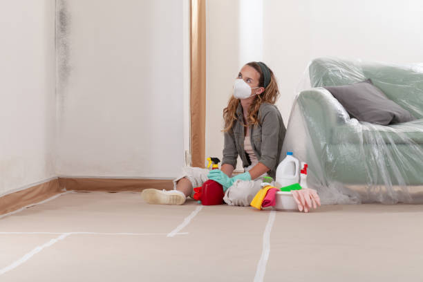 Trusted Mold Inspection service in Midland, MI - WQB Mold Removal