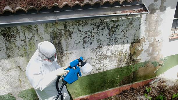 Top rated local Mold Inspection specialists in Midland, MI